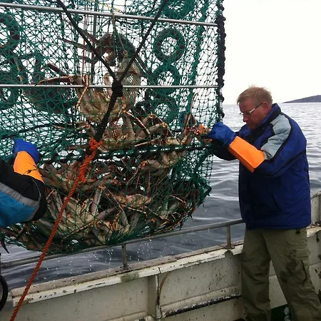 Cape East * Ytre Kiberg