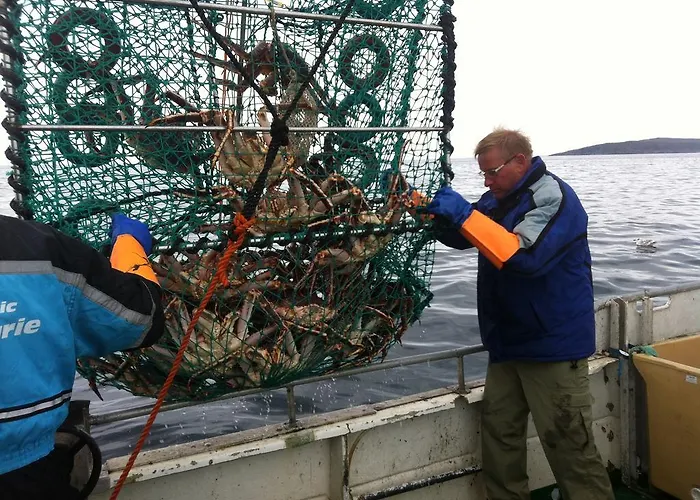 Cape East * Ytre Kiberg